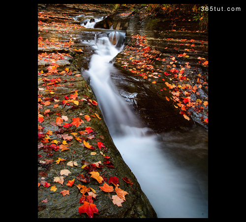 Focus_Stacking_8