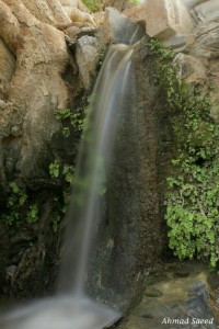 WaterFalls_t4