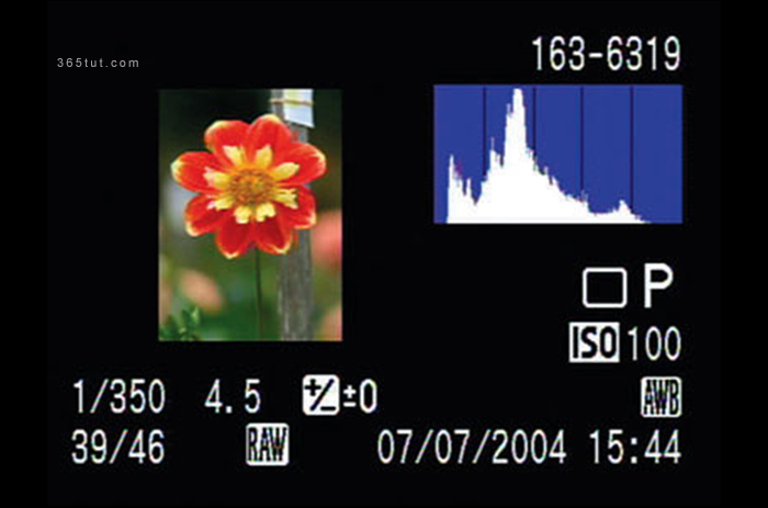 صورة [ دروس تصوير ] الدرس رقم ١٣٣ – الهيستوجرام – Histogram